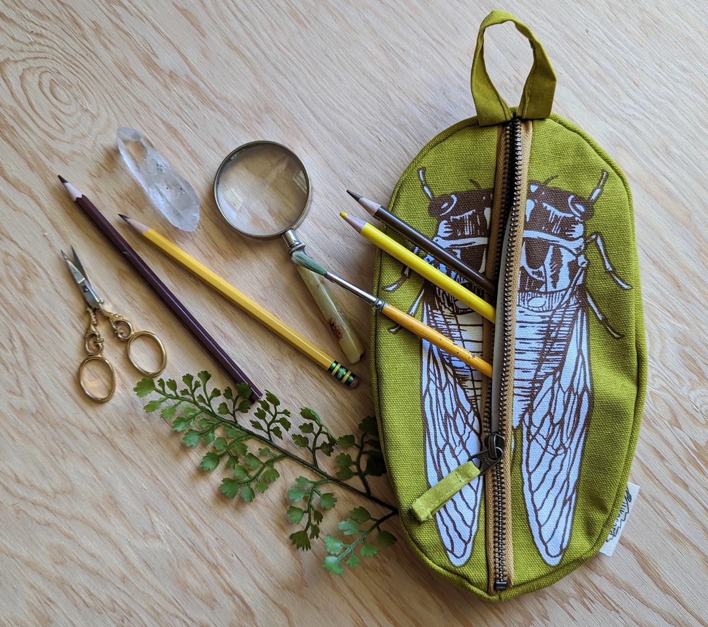 Zippered Pouch | Cicada