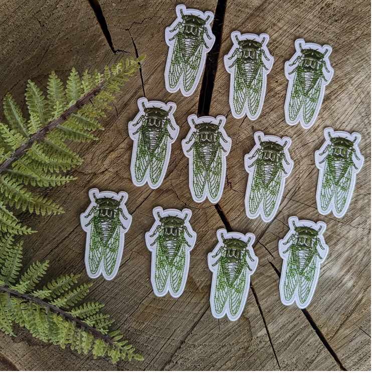 Patch | Cicada